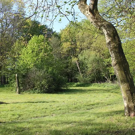 Herrenhaus App.13 Apartment Blengow